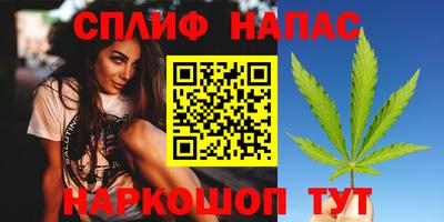 стаф Будённовск