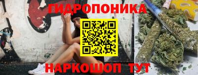 стаф Будённовск