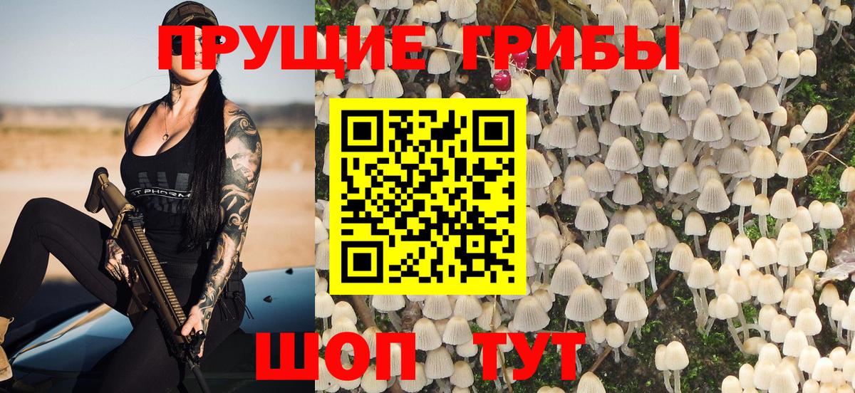 Галлюциногенные грибы прущие грибы  Псилоцибиновые грибы Magic Shrooms  Вход с VPN  Королёв 