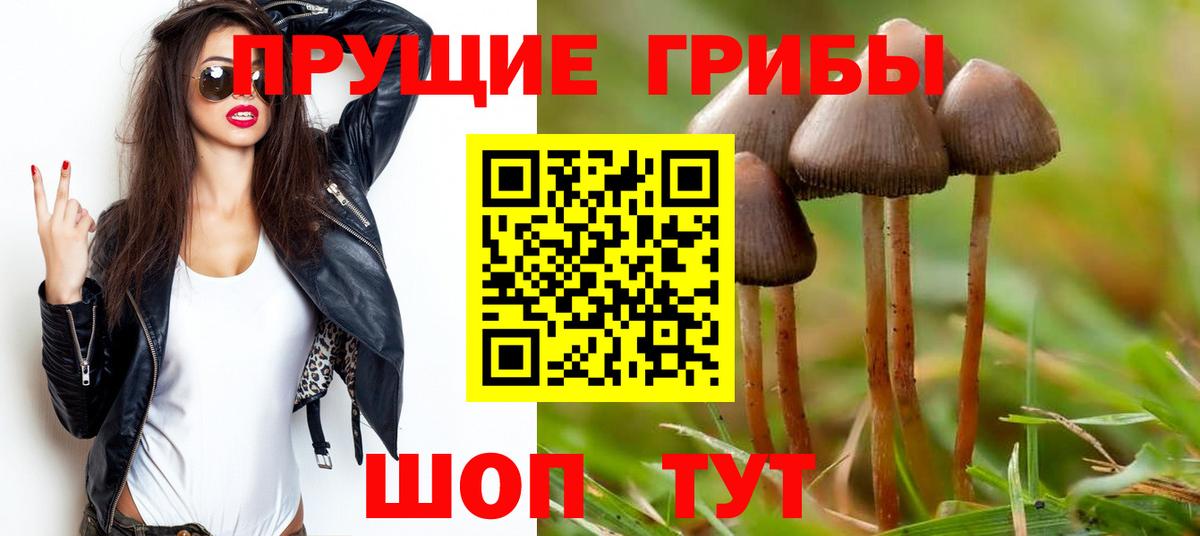 Псилоцибиновые грибы мицелий Королёв